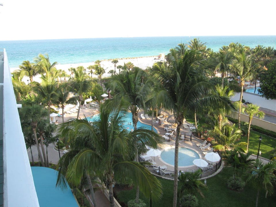 Gartenanlage mit Pool Hotel Riu Plaza Miami Beach
