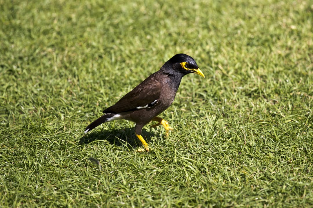 Sonstiges Centara Grand Mirage Beach Resort Pattaya