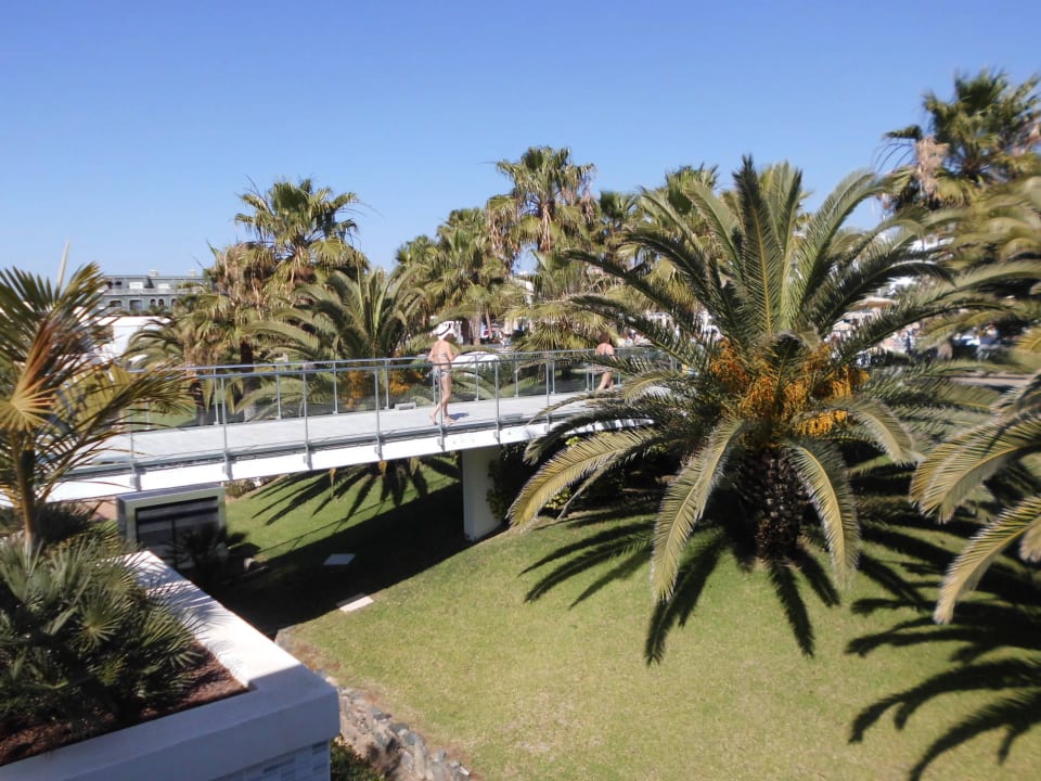 Gartenanlage Hotel Riu Gran Canaria