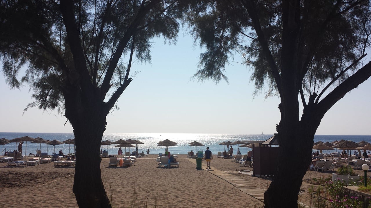 Blick zum Strand Hotel Calypso Beach