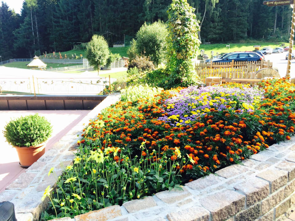 Blumen am Eingang Hotel Tannenmühle