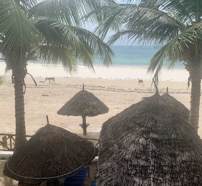 Ausblick Isla Bonita Zanzibar Beach Resort