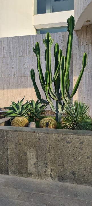 Gartenanlage Hipotels La Geria