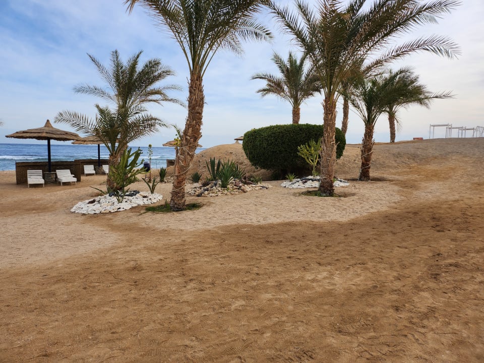 Strand Coral Sun Beach