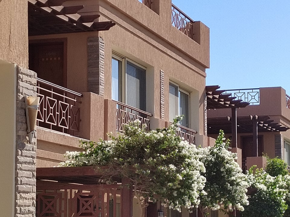 Sonstiges Shams Prestige Abu Soma-Adults Only