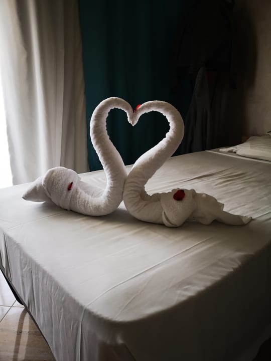 Zimmer Malikia Resort Abu Dabbab