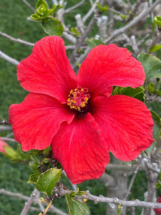 Außenansicht Turquoise Hotel