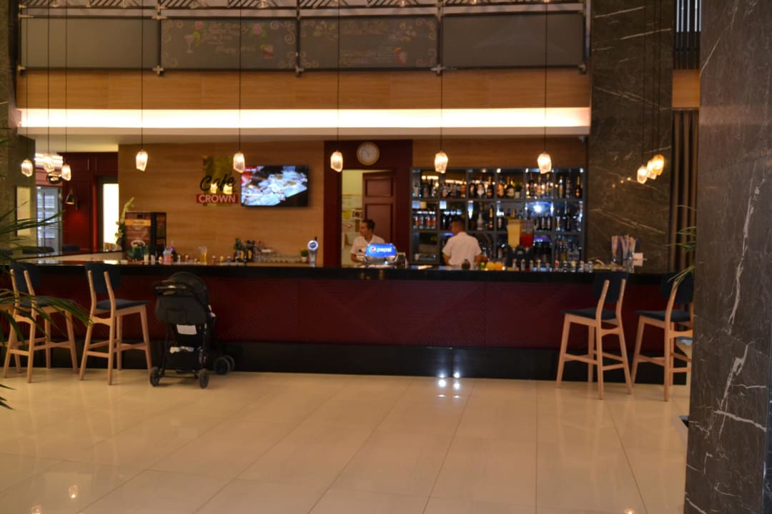 Gastro Seashell Vega