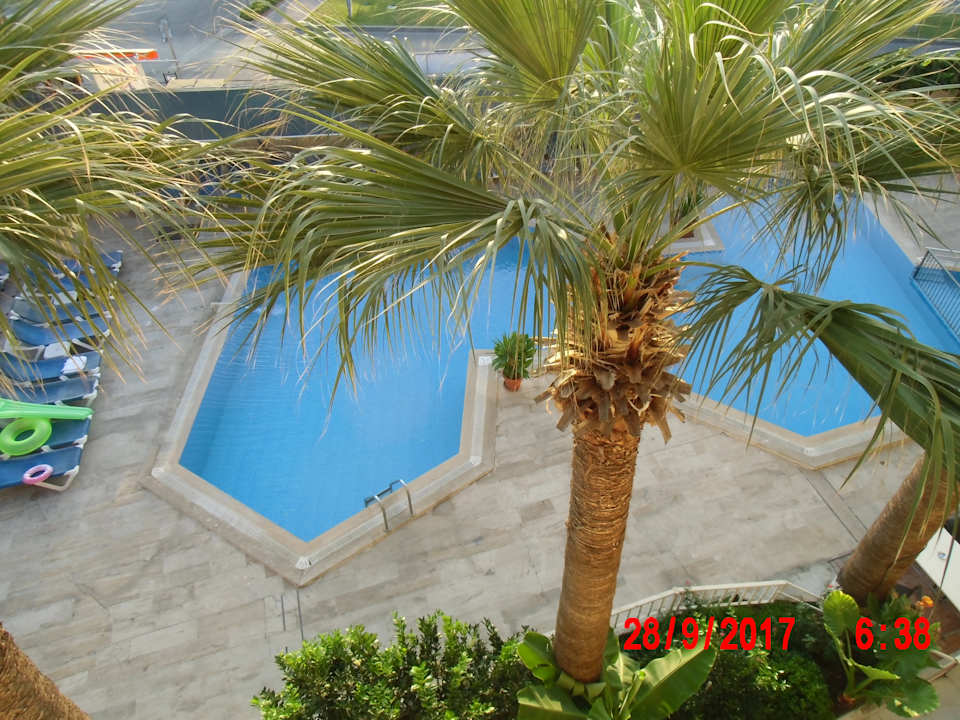 Pool Palmiye Hotel