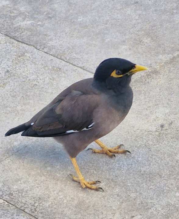 Sonstiges The Cove Rotana Resort