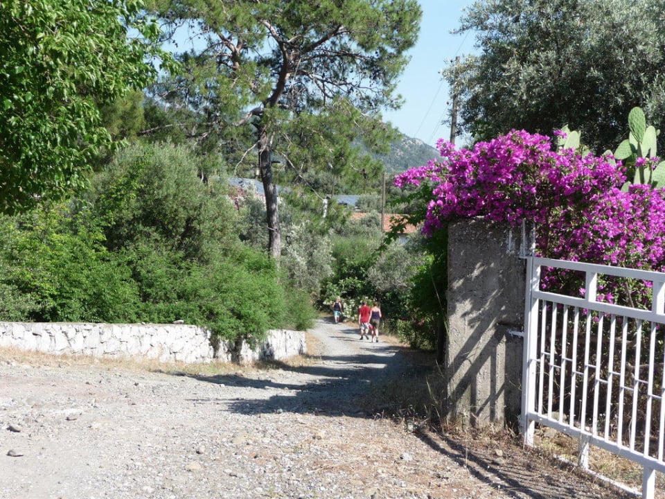 Zufahrt zum Hotel Hotel Falcon Crest