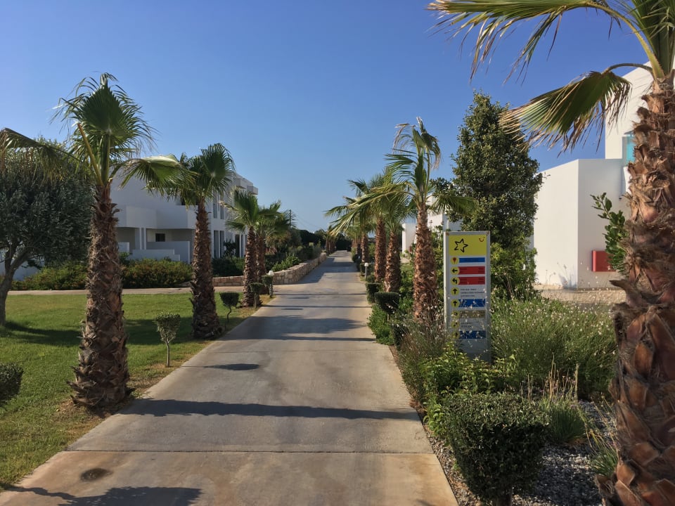 Gartenanlage Atlantica Plimmiri