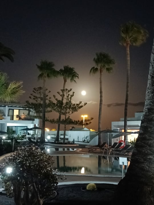 Ausblick Bungalows & Appartements Playamar