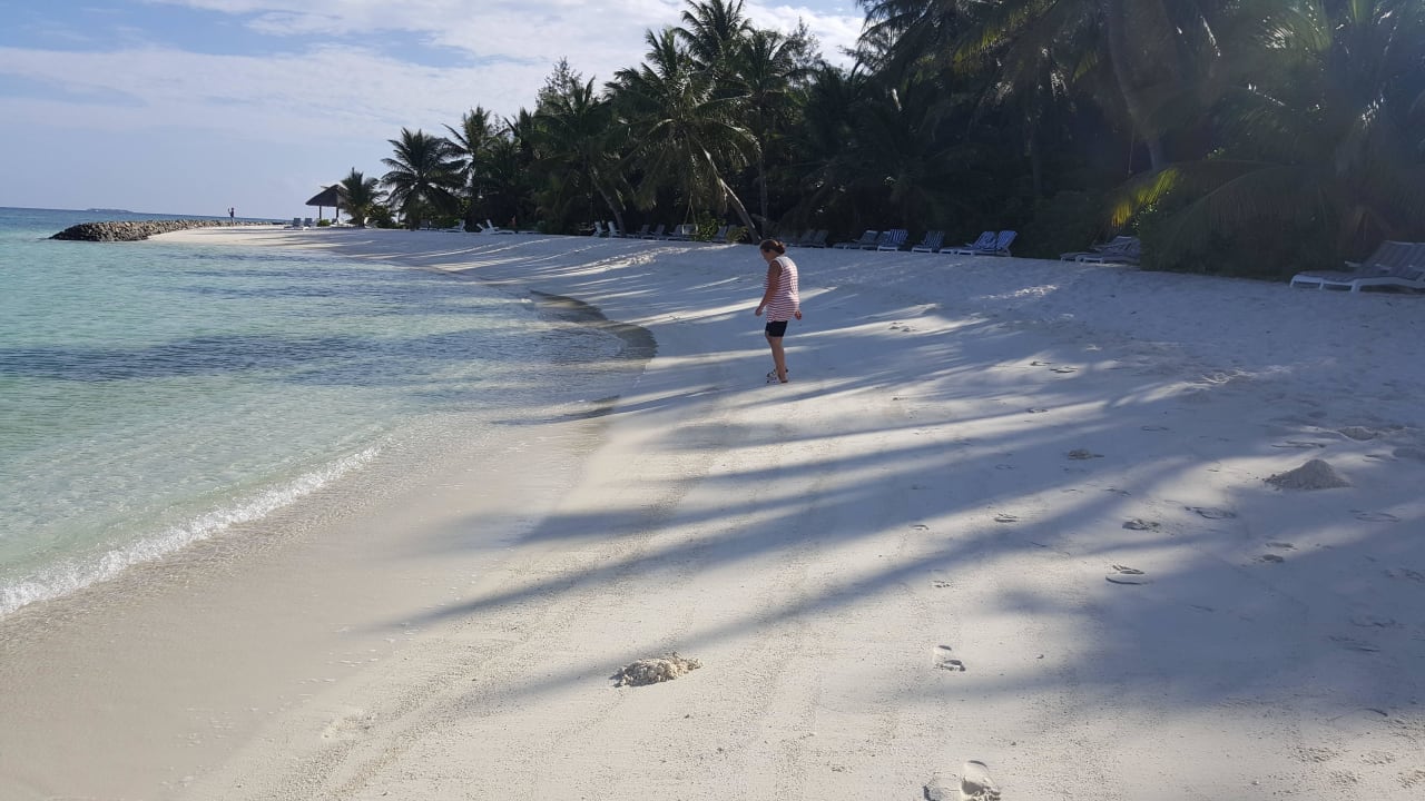 Strand  Summer Island Maldives