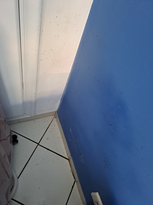 Zimmer Hotel Nesrine