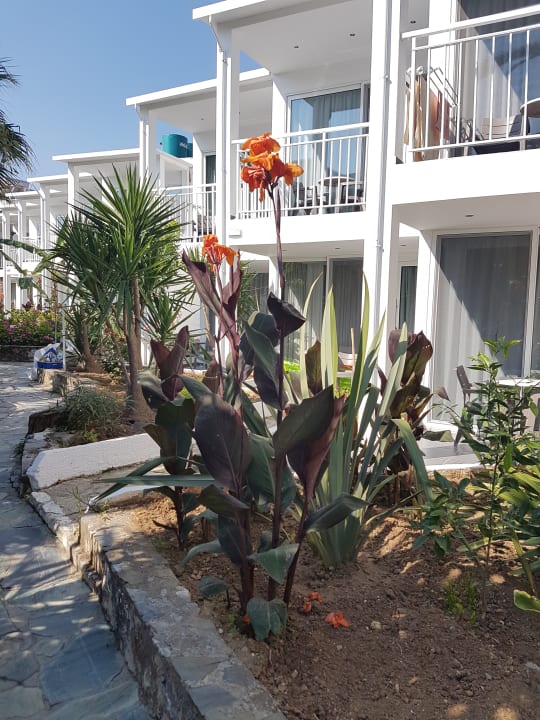 Gartenanlage HARPIN Happy Days Beach Hotel