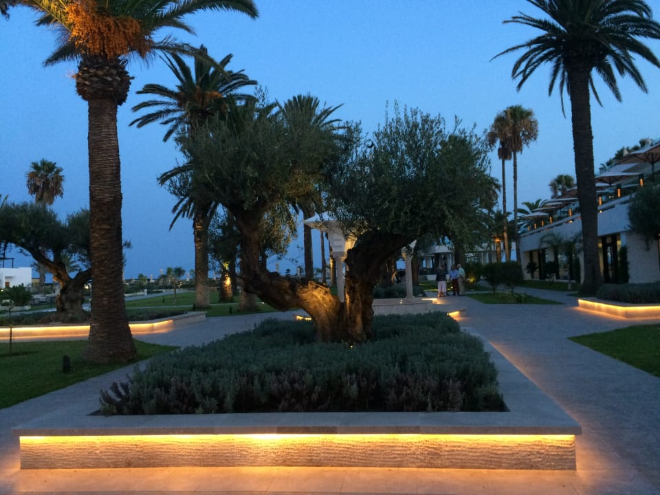 Gartenanlage The Orangers Garden Villas & Bungalows