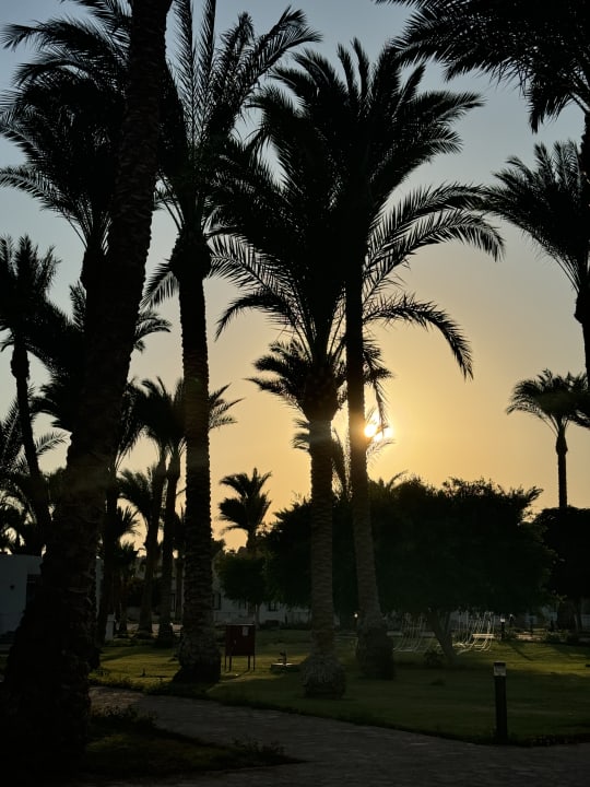 Strand Pharaoh Azur Resort