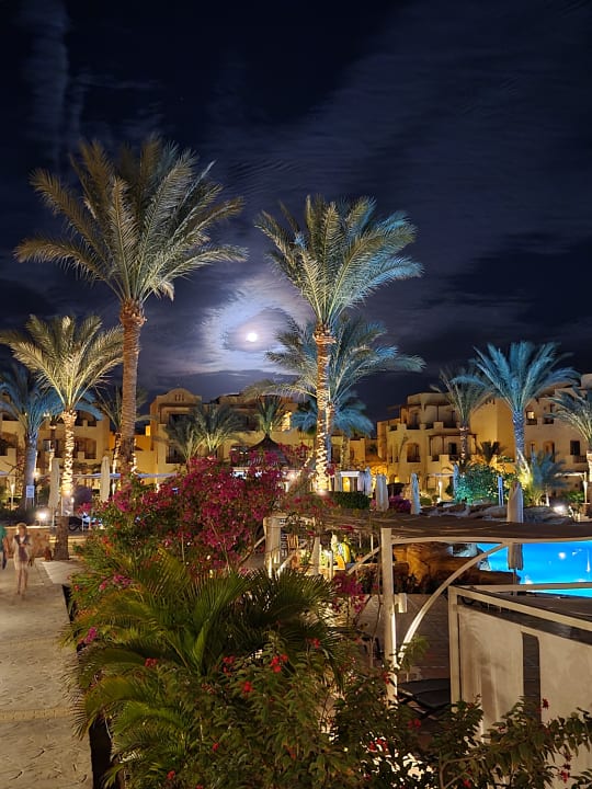 Gartenanlage Steigenberger Coraya Beach - Adults only