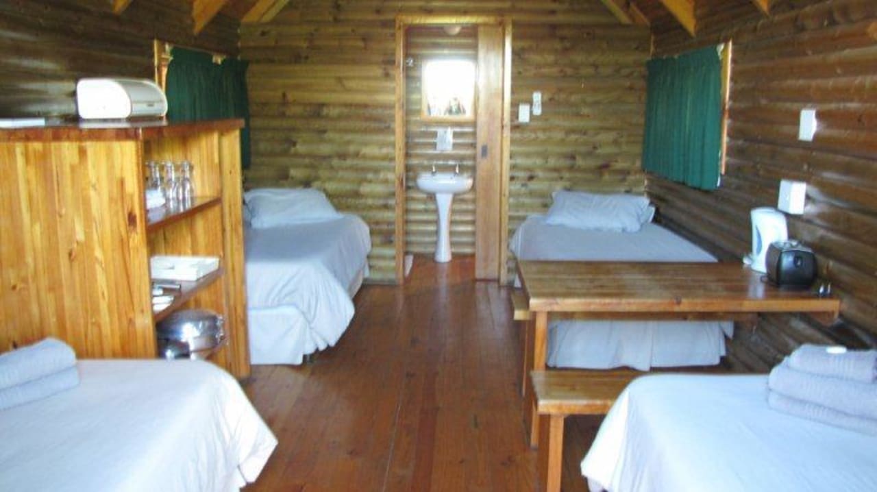 Forest Cabin mit 4 Einzelbetten  Addo Elephant Rest Camp