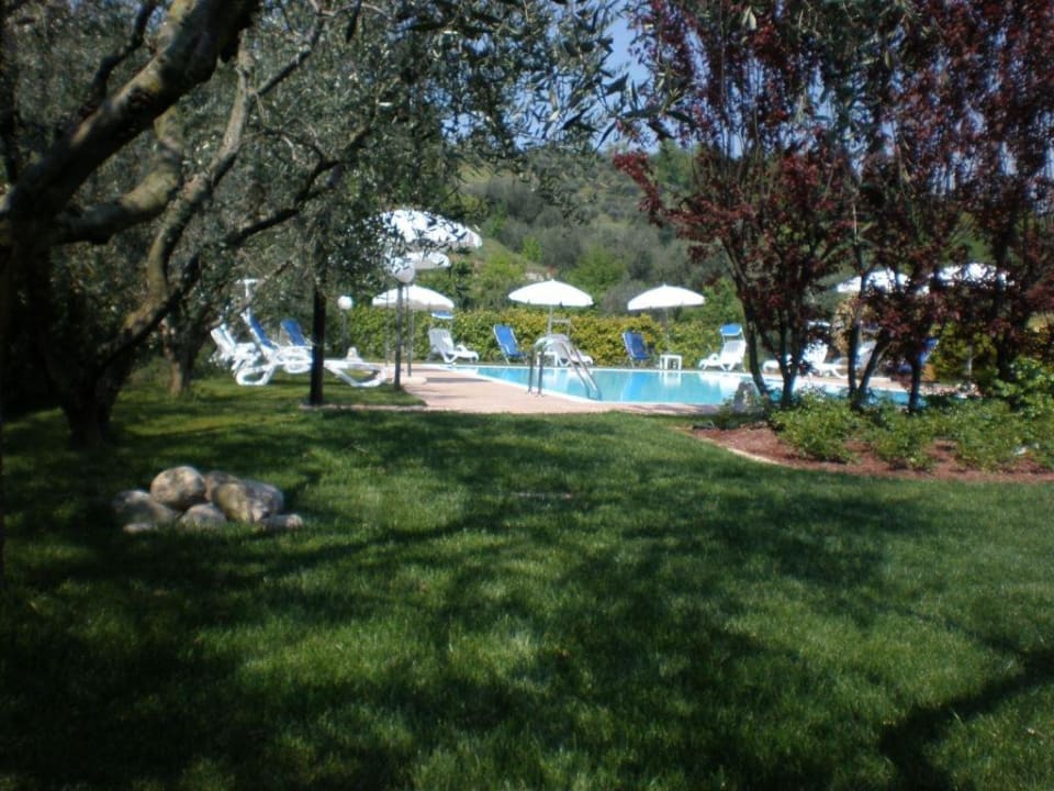 Piscina e giardino Agriturismo La Rocca Agriturismo La Rocca