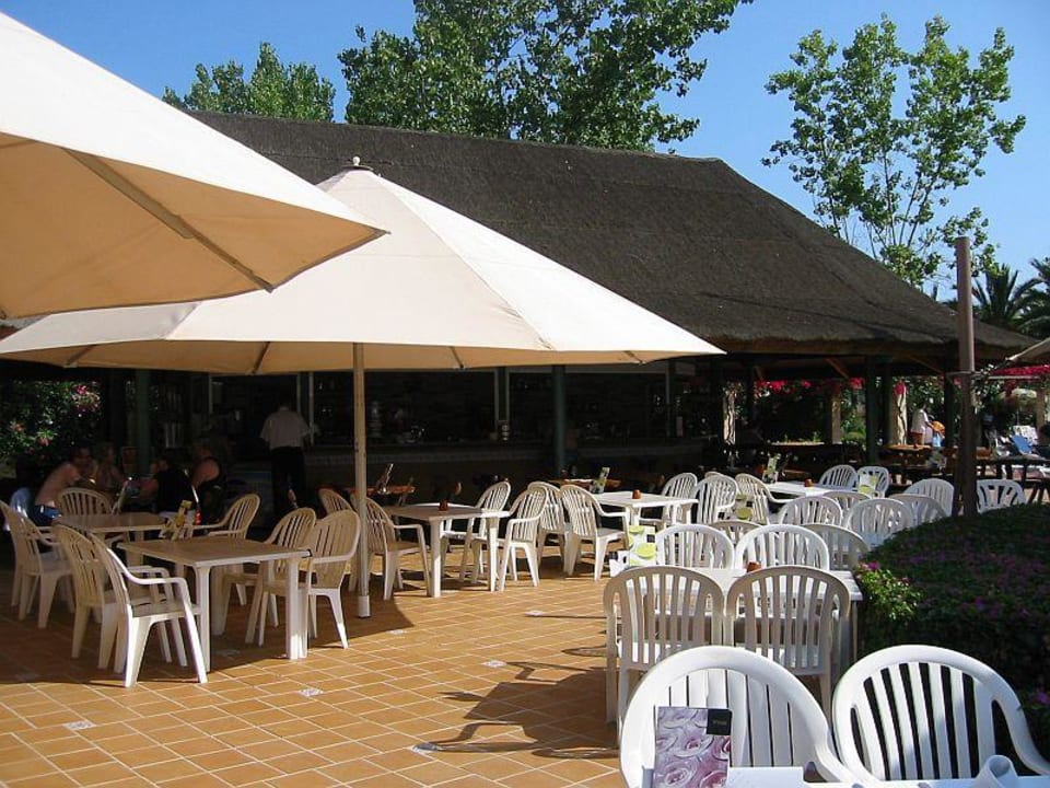 Poolbar Zafiro Tropic