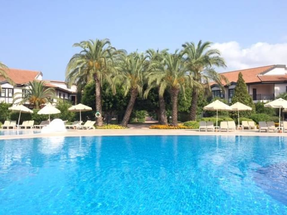 Pool zwischen Hauptgebäude und Ferienhäuschen Starlight Resort Hotel