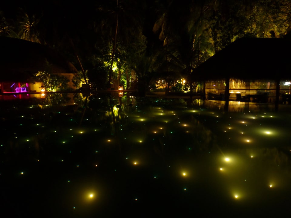 Infinity Pool nachts Kuramathi Maldives