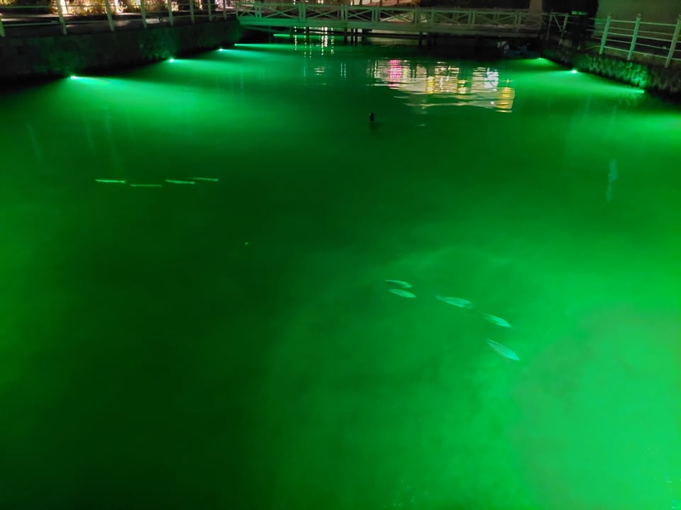 Außenansicht Pickalbatros Dana Beach Resort - Hurghada