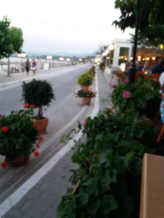 Gartenanlage Hotel Corissia Princess