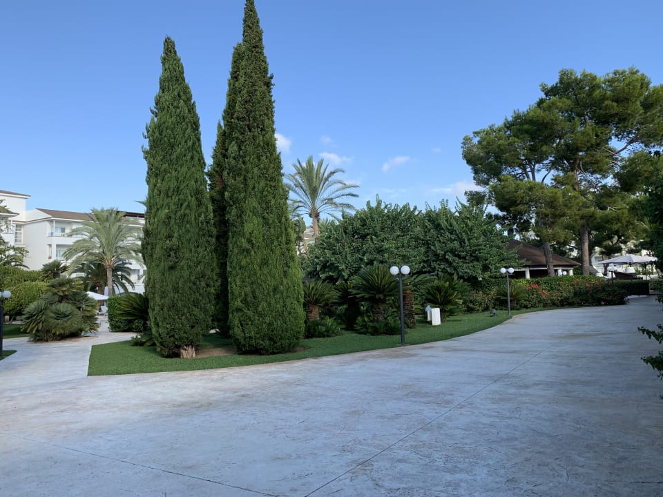 Gartenanlage Prinsotel La Dorada