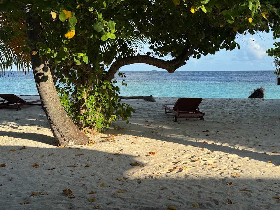 Strand Filitheyo Island Resort