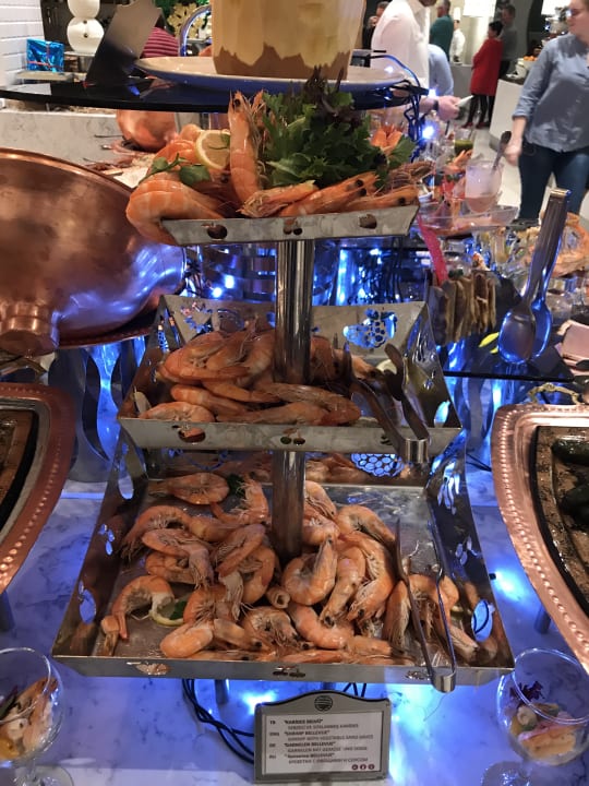 Gastro Acanthus Cennet Barut Collection