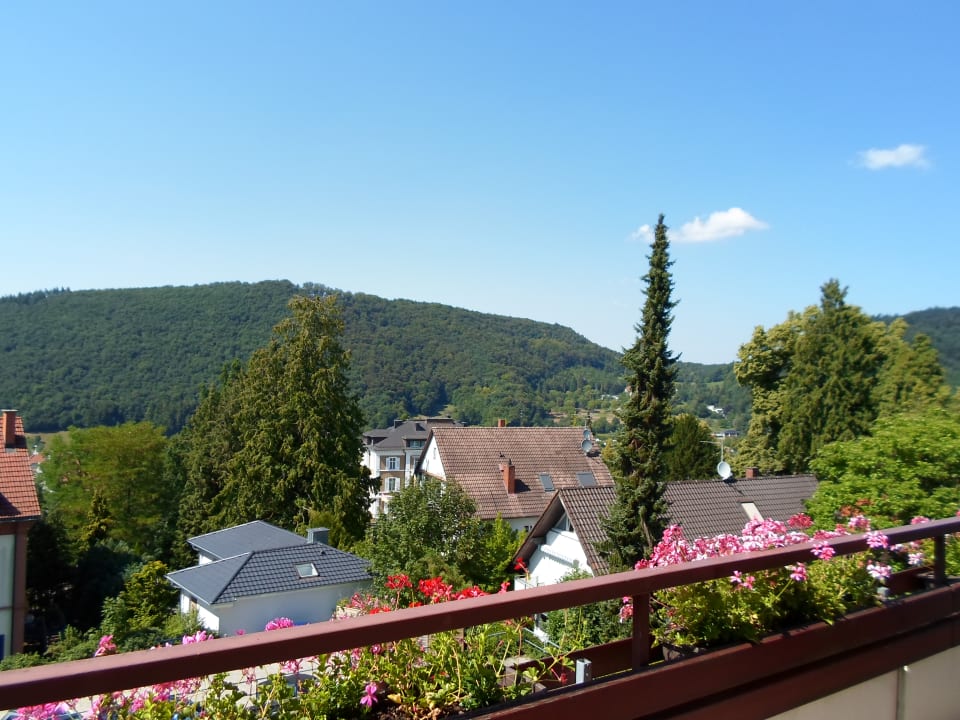 Ausblick Park-Appartements