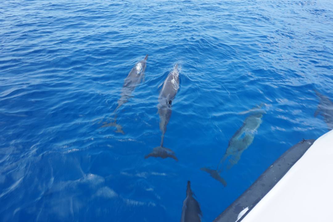Sport & Freizeit Cinnamon Hakuraa Huraa Maldives