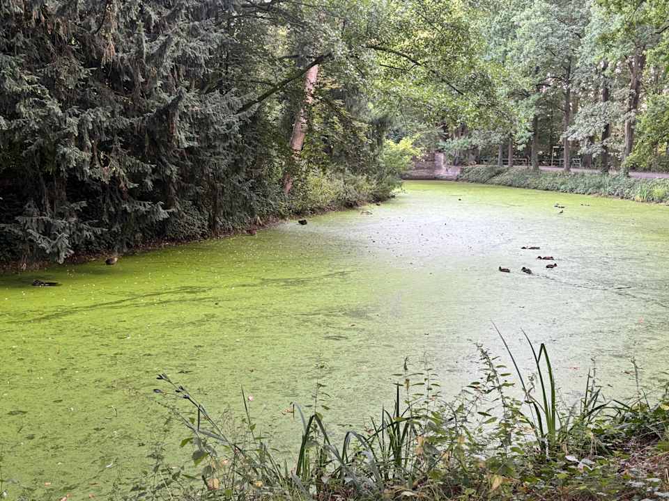 Sport & Freizeit Vila Vita Burghotel Dinklage