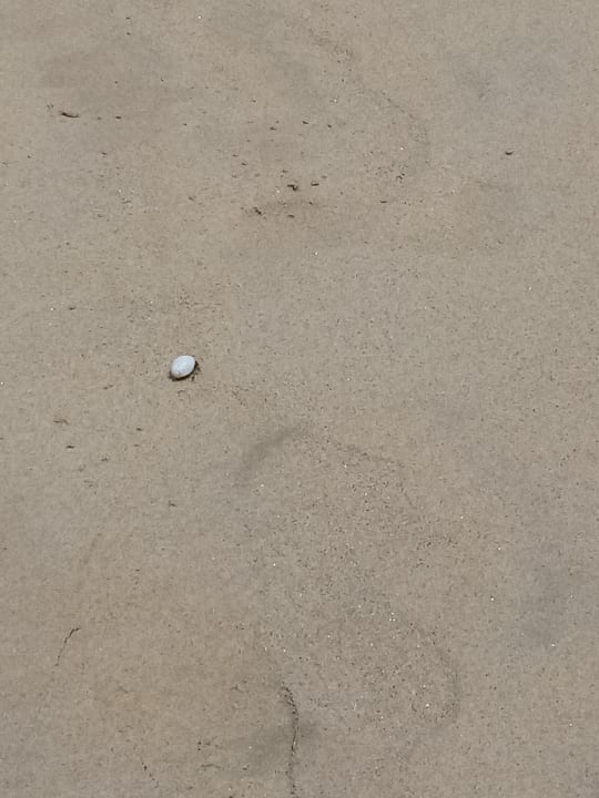 Strand Best Western Premier Bangtao Beach Resort & Spa