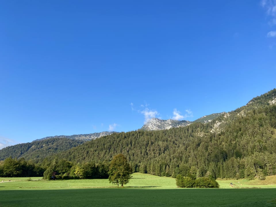 Ausblick Bauernhof Wiesenhäusl