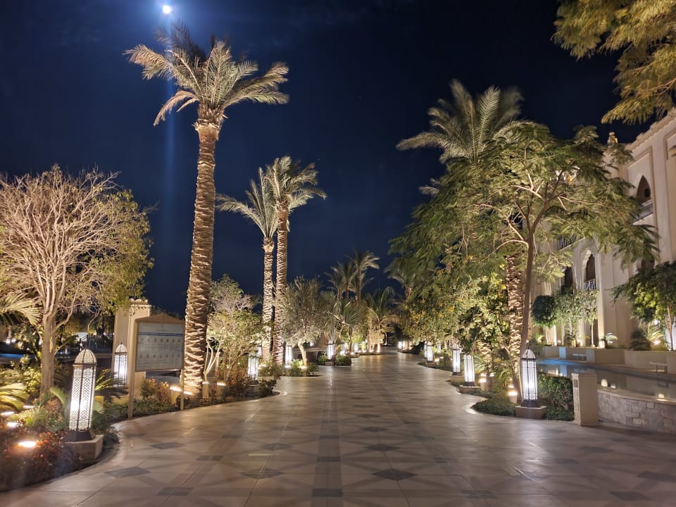 Gartenanlage The Grand Palace - Adults only