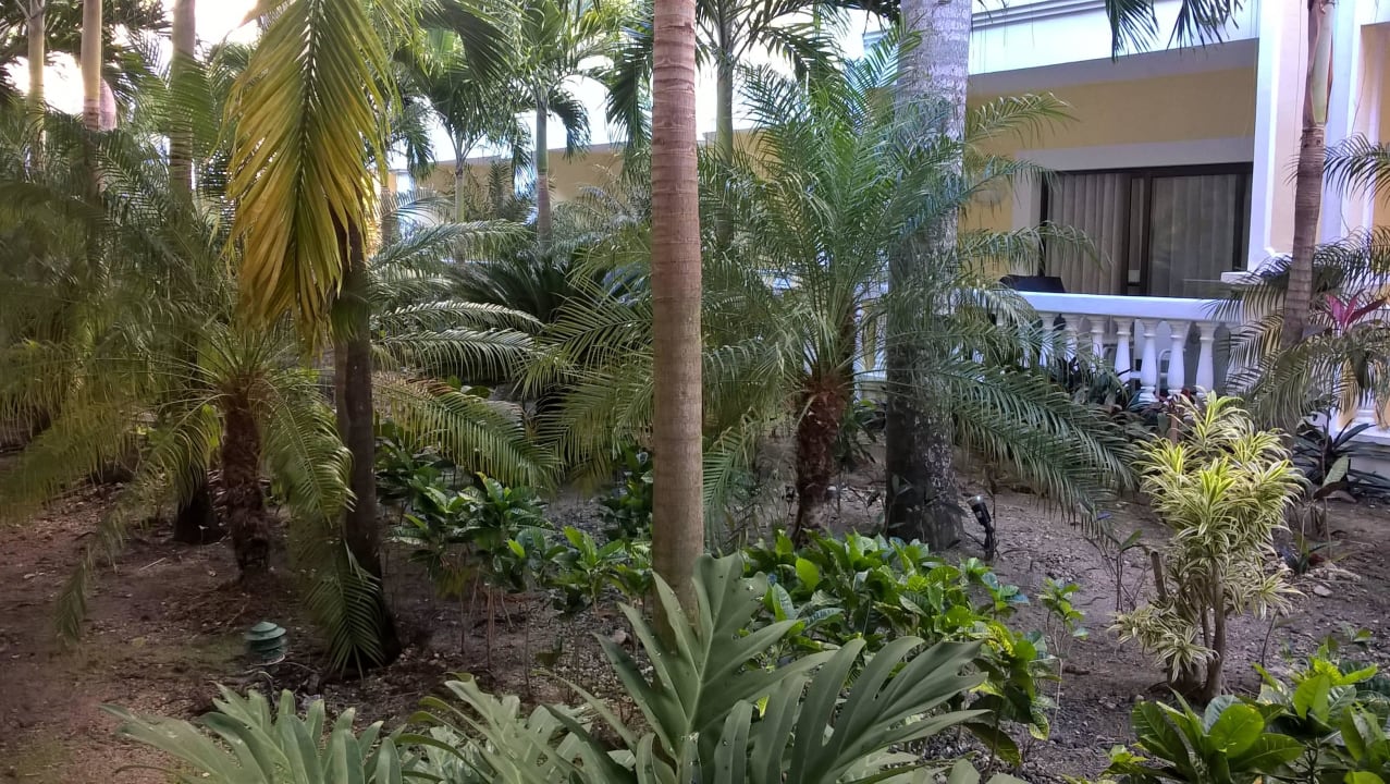 Widok z pokoju na parterze Bahia Principe Luxury Esmeralda