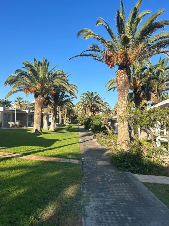 Gartenanlage Civitel Creta Beach