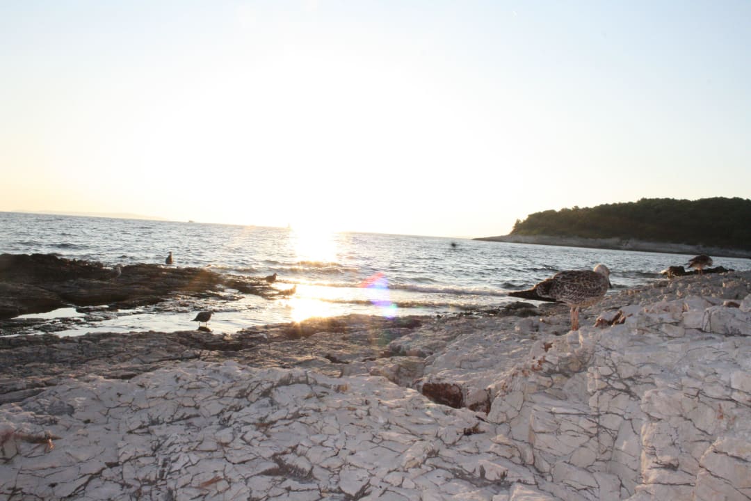 Felsstrand  Family Hotel Vespera