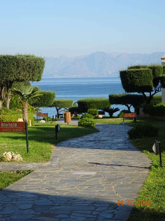 Gartenanlage Hotel Mareblue Beach