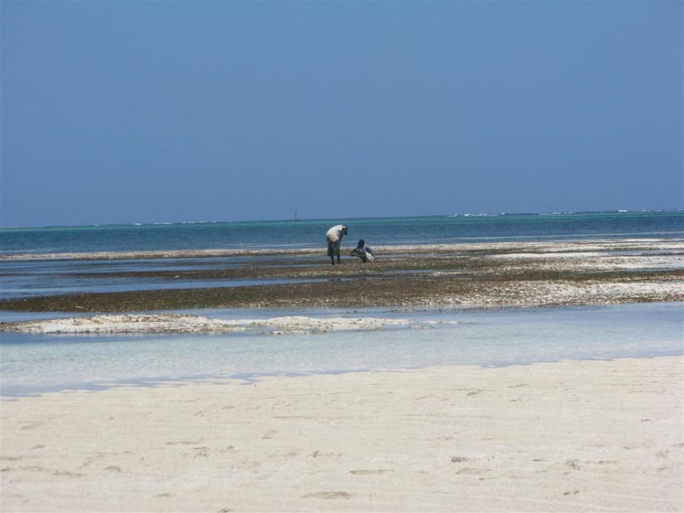 Odpływ Neptune Village Beach Resort & Spa