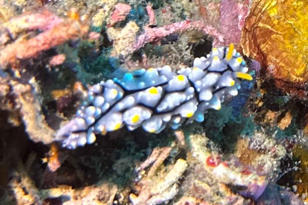 Sport & Freizeit Sali Bay Resort