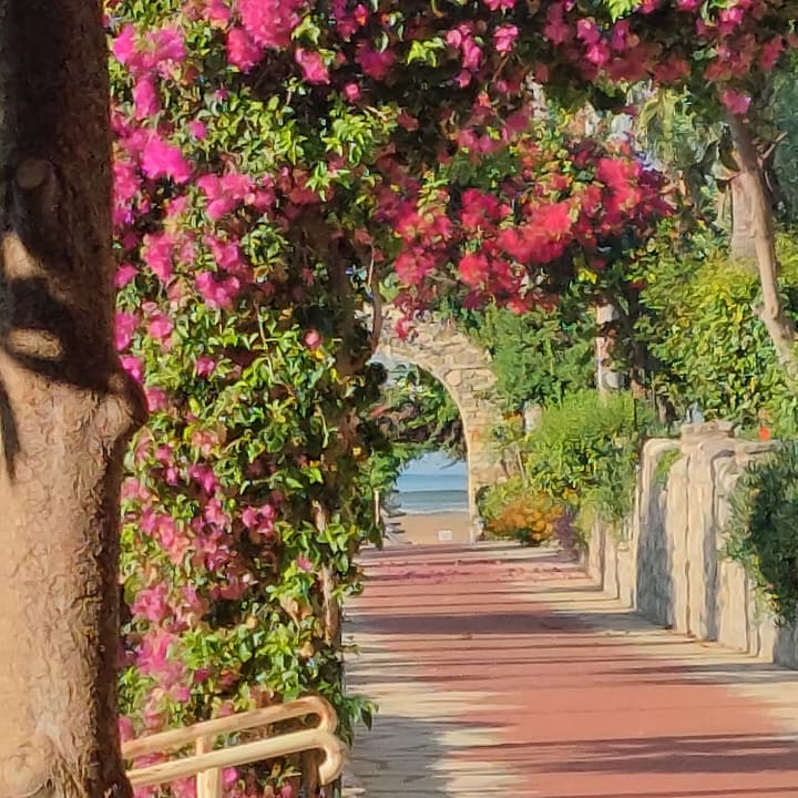 Gartenanlage Hotel Defne Garden