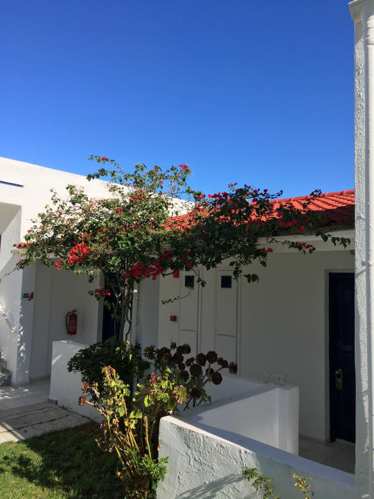 Gartenanlage AluaSoul Zakynthos - Adults only