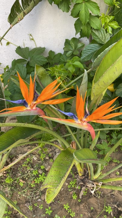 Sonstiges Grand Seker Hotel