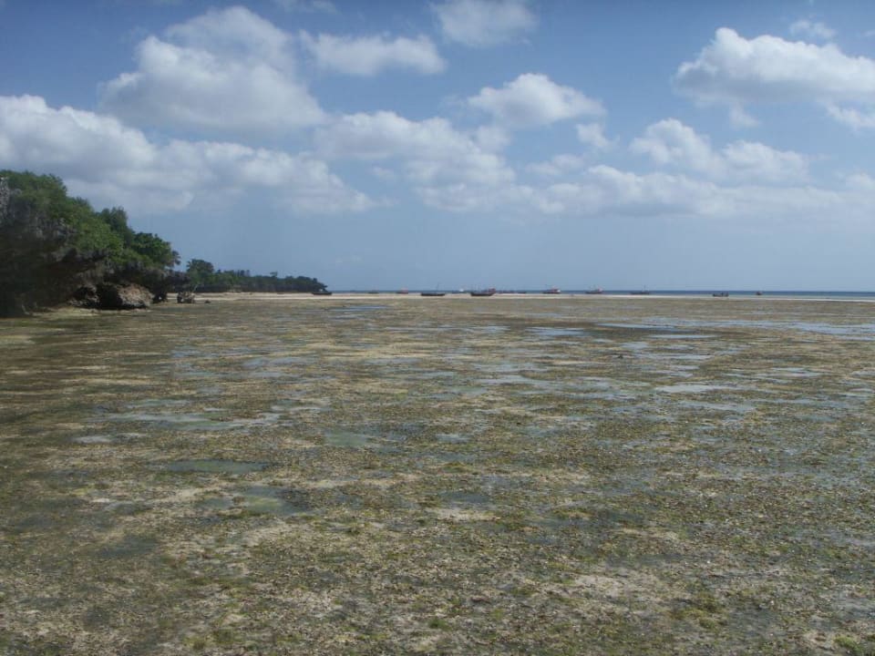 Küstenabschnitt bei Ebbe Karamba Resort