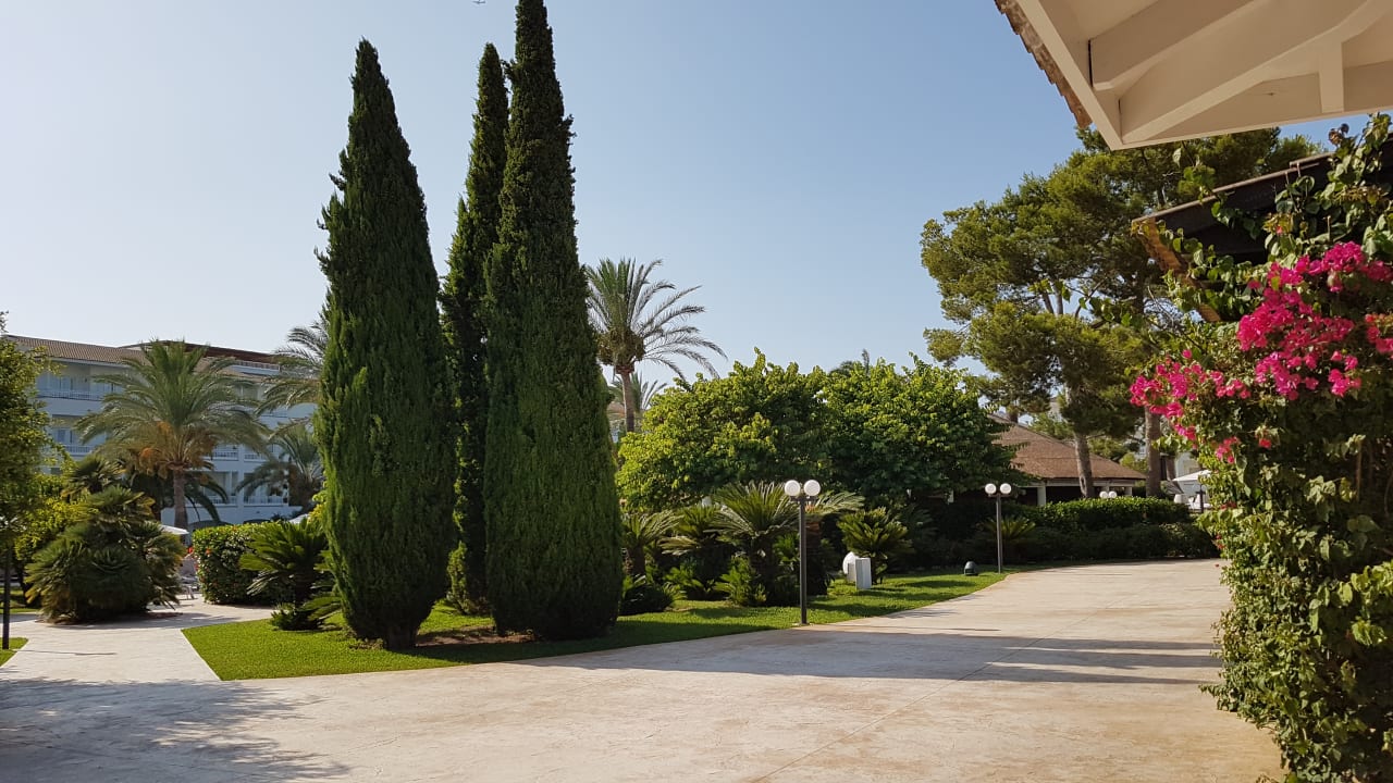 Gartenanlage Prinsotel La Dorada